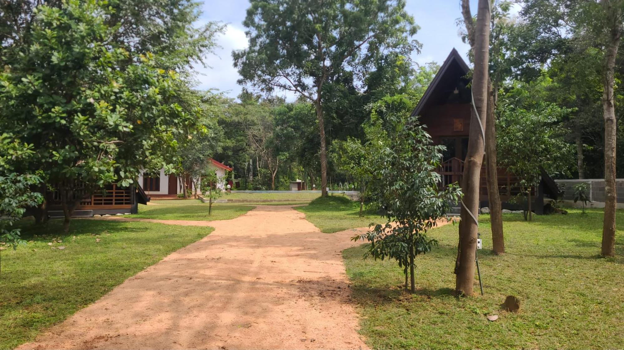 Lion King Jungle Cabanas Sigiriya Buitenkant foto