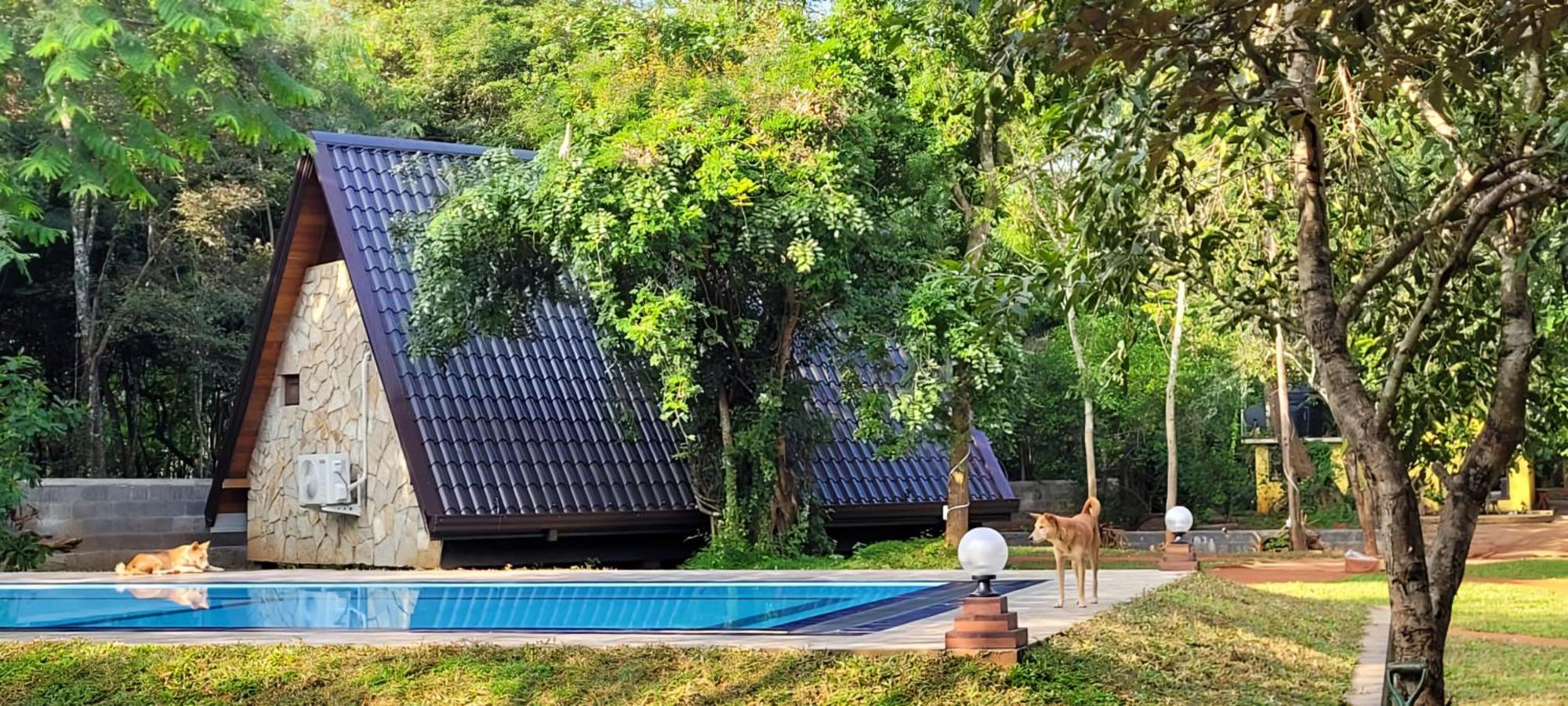 Lion King Jungle Cabanas Sigiriya Buitenkant foto