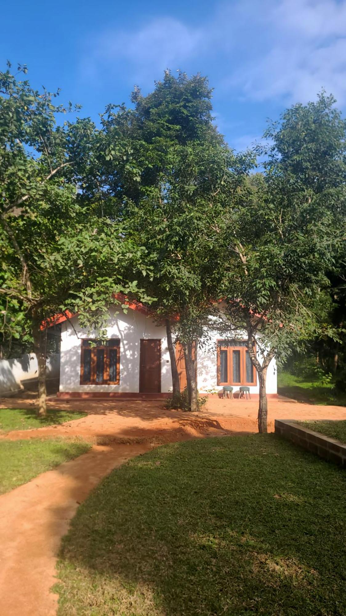 Lion King Jungle Cabanas Sigiriya Buitenkant foto